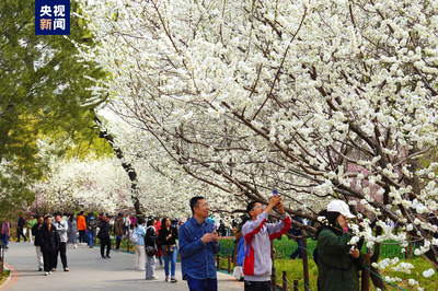 清明假期北京市屬公園及中國(guó)園林博物館游客接待量超218萬(wàn)人次，景區(qū)管理成效顯著