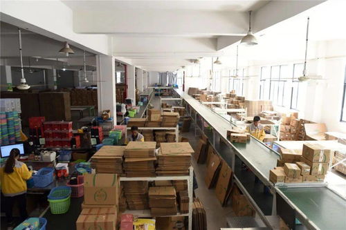 臨安工廠備戰雙十一 生產不停、分倉不歇的緊張有序圖景